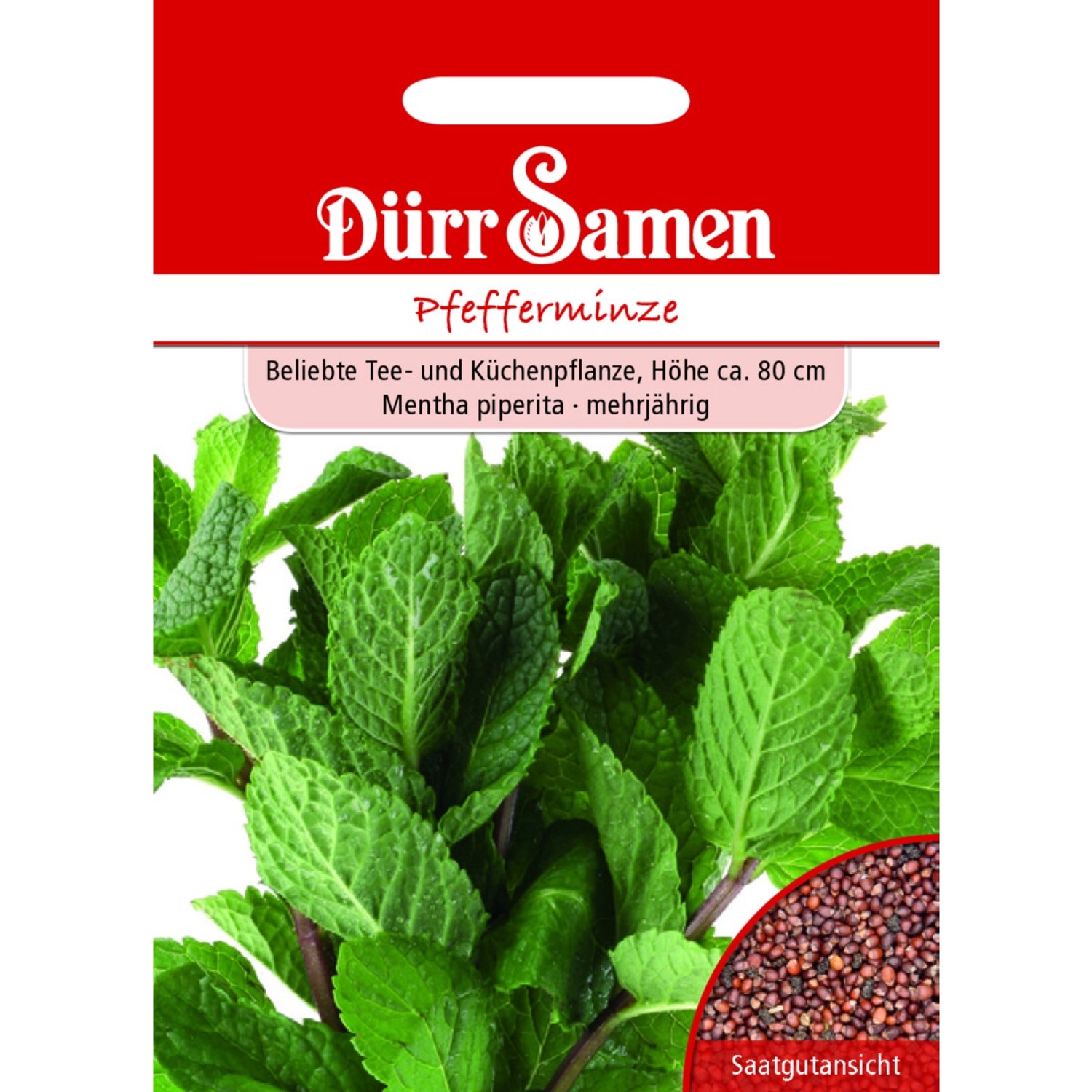 Dürr Samen Pfefferminze Saatgut Dürr Samen Pfefferminze Saatgut von Dürr Samen