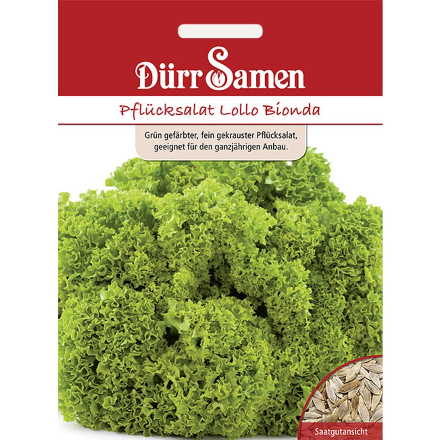 Dürr Samen Pflücksalat Lollo Bionda Saatgut Dürr Samen Pflücksalat Lollo Bionda Saatgut von Dürr Samen