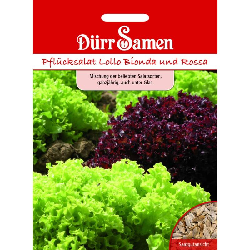 Dürr Samen Pflücksalat Lollo Mischung Bionda + Rossa Saatgut Dürr Samen Pflücksalat Lollo Mischung Bionda + Rossa Saatgut von Dürr Samen
