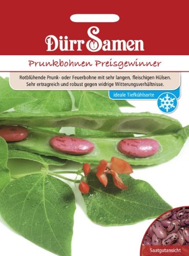 Dürr-Samen Prunkbohnen Preisgewinner Saatgut von Dürr-Samen