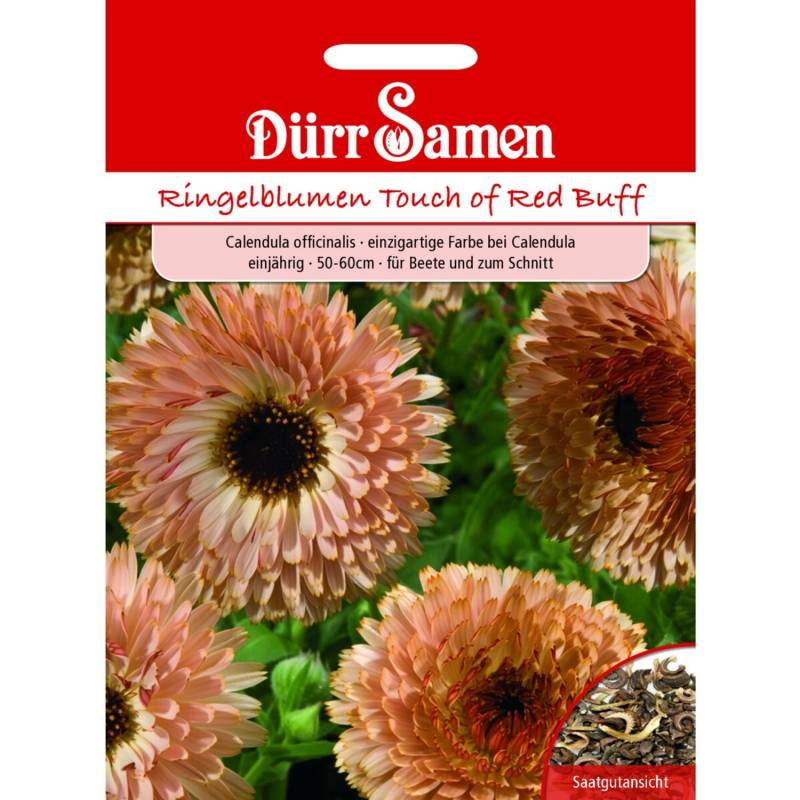 Dürr Samen Ringelblumen Touch Of Red Buff Einjährig Saatgut Dürr Samen Ringelblumen Touch Of Red Buff Einjährig Saatgut von Dürr Samen