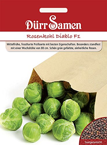 Dürr-Samen - Rosenkohl Diablo F1 Saatgut von Dürr-Samen