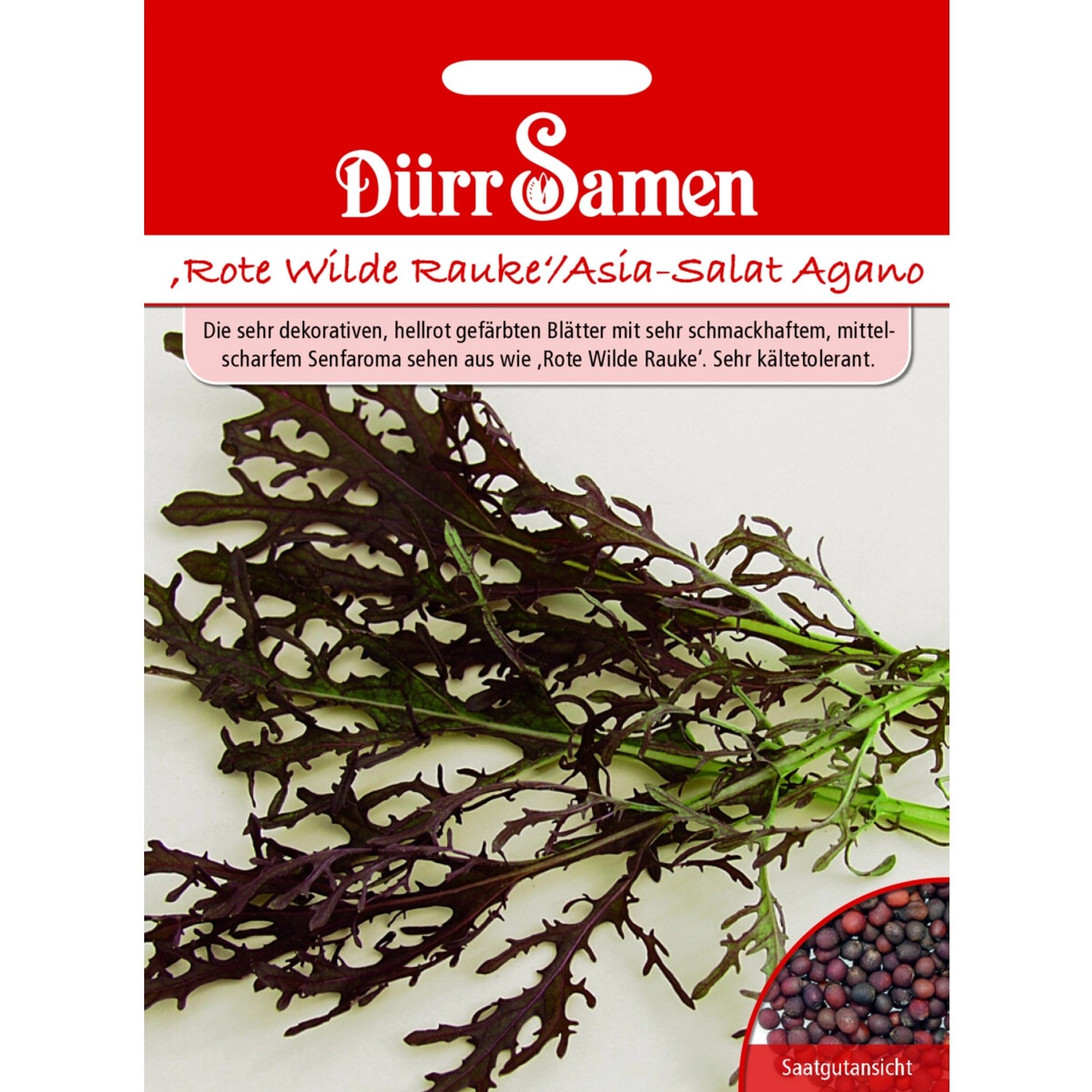 Dürr Samen Rote Wilde Rauke Asia-Salat Agano Saatgut Dürr Samen Rote Wilde Rauke Asia-Salat Agano Saatgut von Dürr Samen