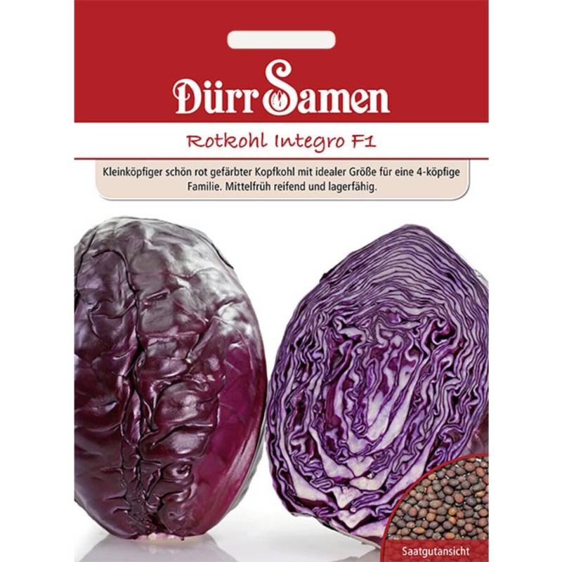Dürr Samen Rotkohl Integro F1 Saatgut Dürr Samen Rotkohl Integro F1 Saatgut von Dürr Samen
