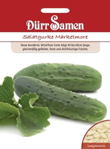 Gurken (Salatgurke Marketmore) von Dürr-Samen