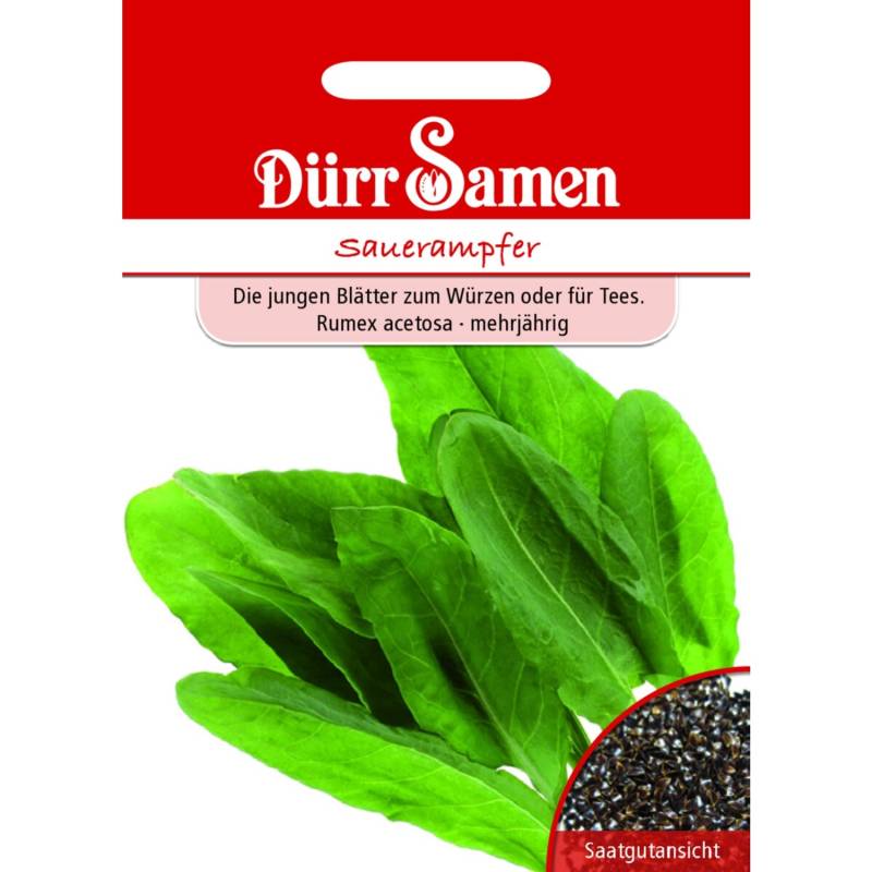 Dürr Samen Sauerampfer Saatgut von Dürr Samen