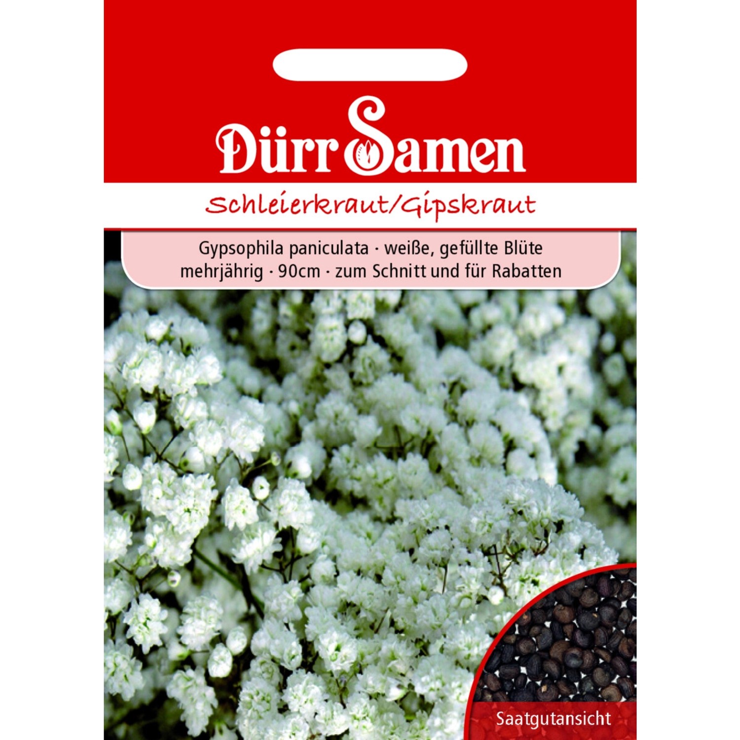 Dürr Samen Schleierkraut Gefüllt Weiße Blüten Mehrjährig Saatgut Dürr Samen Schleierkraut Gefüllt Weiße Blüten Mehrjährig Saatgut von Dürr Samen