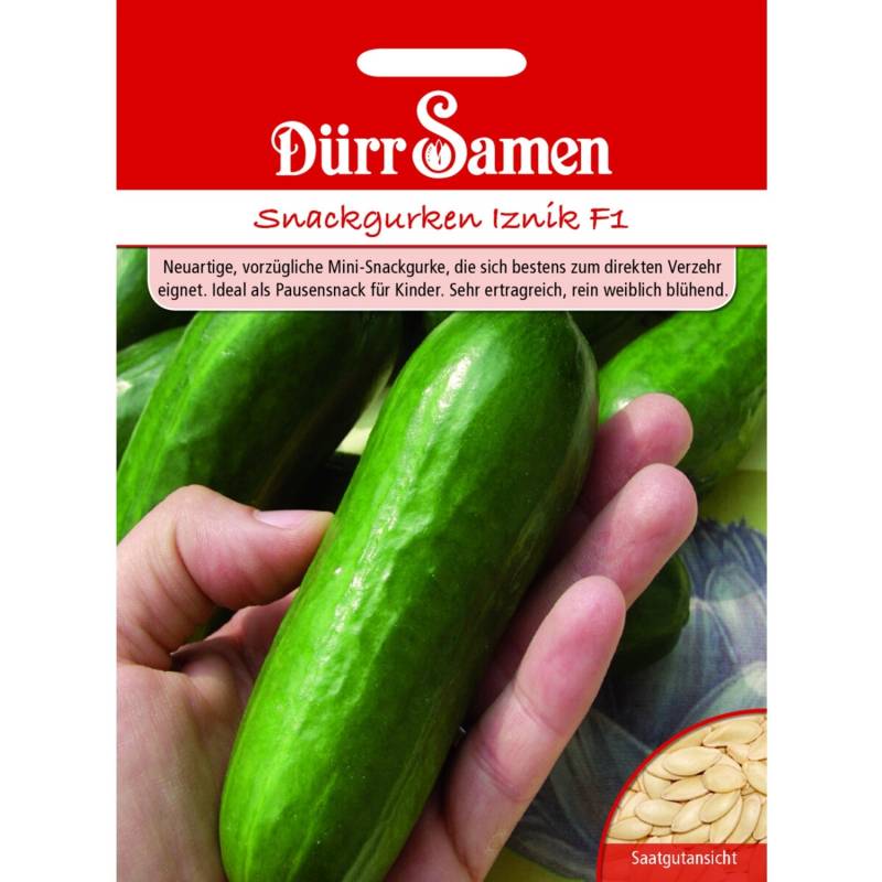 Dürr Samen Snackgurke Iznik F1 Saatgut von Dürr Samen