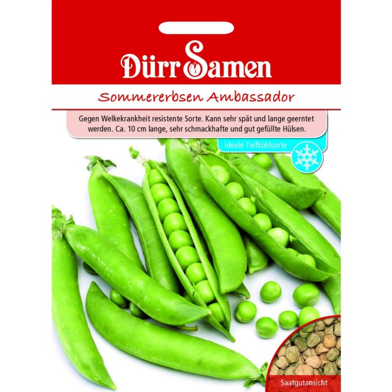 Dürr Samen Sommererbsen Ambassador Saatgut von Dürr Samen