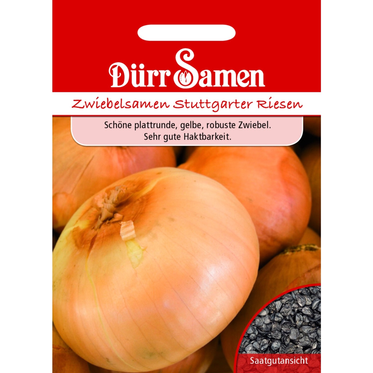 Dürr Samen Sommerzwiebeln Stuttgarter Riesen Saatgut Dürr Samen Sommerzwiebeln Stuttgarter Riesen Saatgut von Dürr Samen