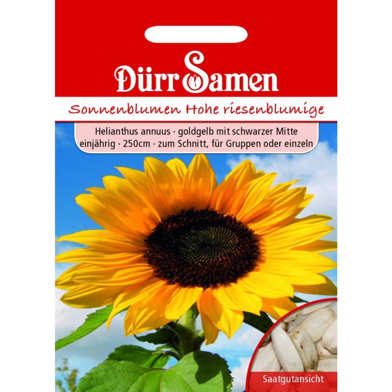 Dürr Samen Sonnenblume Hohe Riesen Goldgelb Mit Schwarzer Mitte Saatgut von Dürr Samen