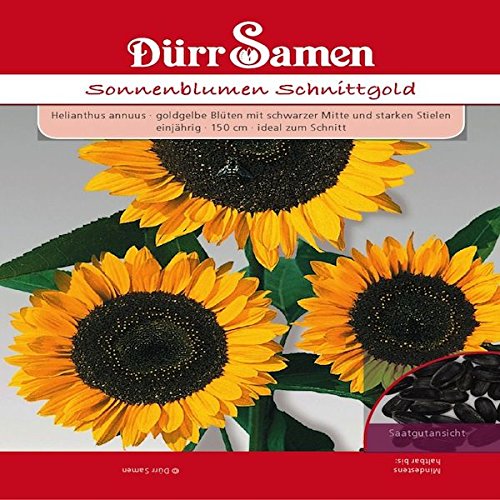 Dürr-Samen - Sonnenblume Schnittgold goldene Blüten und schwarze Mitte Saatgut von Dürr-Samen