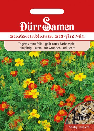 Dürr Samen 1799 Studentenblume Starfire Mix (Studentenblumensamen) von Dürr-Samen