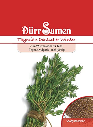 Thymian Samen Deutscher Winter Thymiansamen ca 300 Korn Küchenkräuter Kräutersamen Saatgut Balkon Garten Hochbeet Kübel Dürr Samen von Dürr-Samen