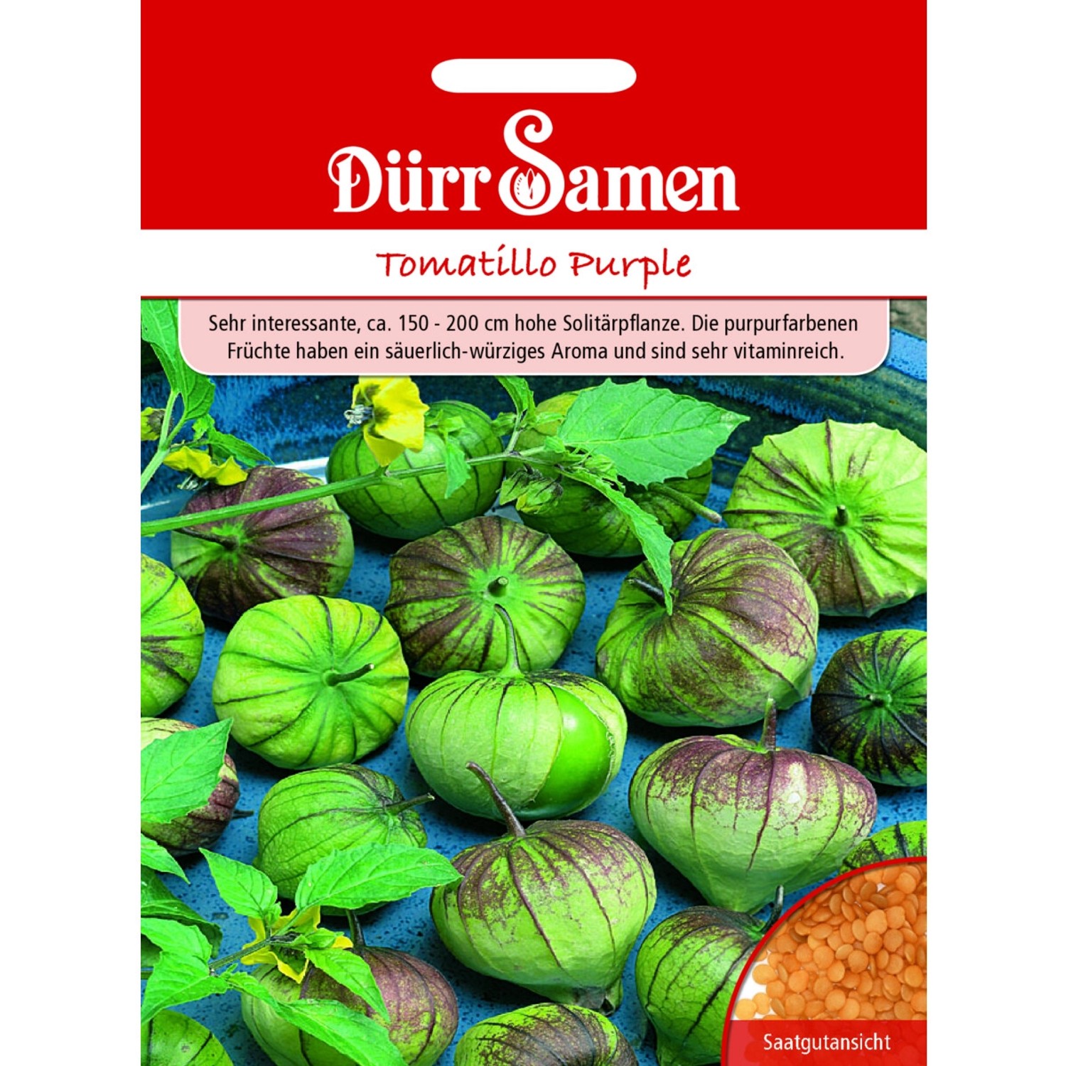 Dürr Samen Tomatillo Purple Saatgut Dürr Samen Tomatillo Purple Saatgut von Dürr Samen