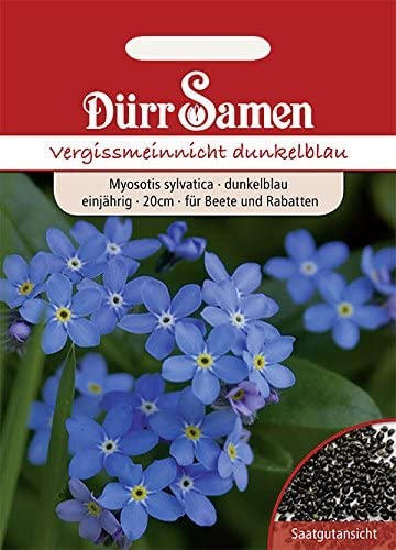 Vergissmeinnicht Samen dunkelblau Vergissmeinnichtsamen Schmuckpflanze Rabatten Steingarten ca 400 Korn Saatgut Dürr Samen von Dürr-Samen