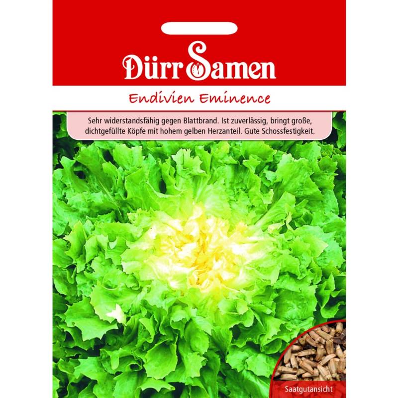 Dürr Samen Winter-Endivien Eminence Saatgut von Dürr Samen