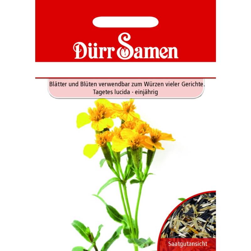 Dürr Samen Würz-Tagetes Saatgut von Dürr Samen