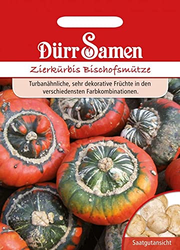 Dürr-Samen - Zierkürbis Bischofsmütze Saatgut von Dürr-Samen