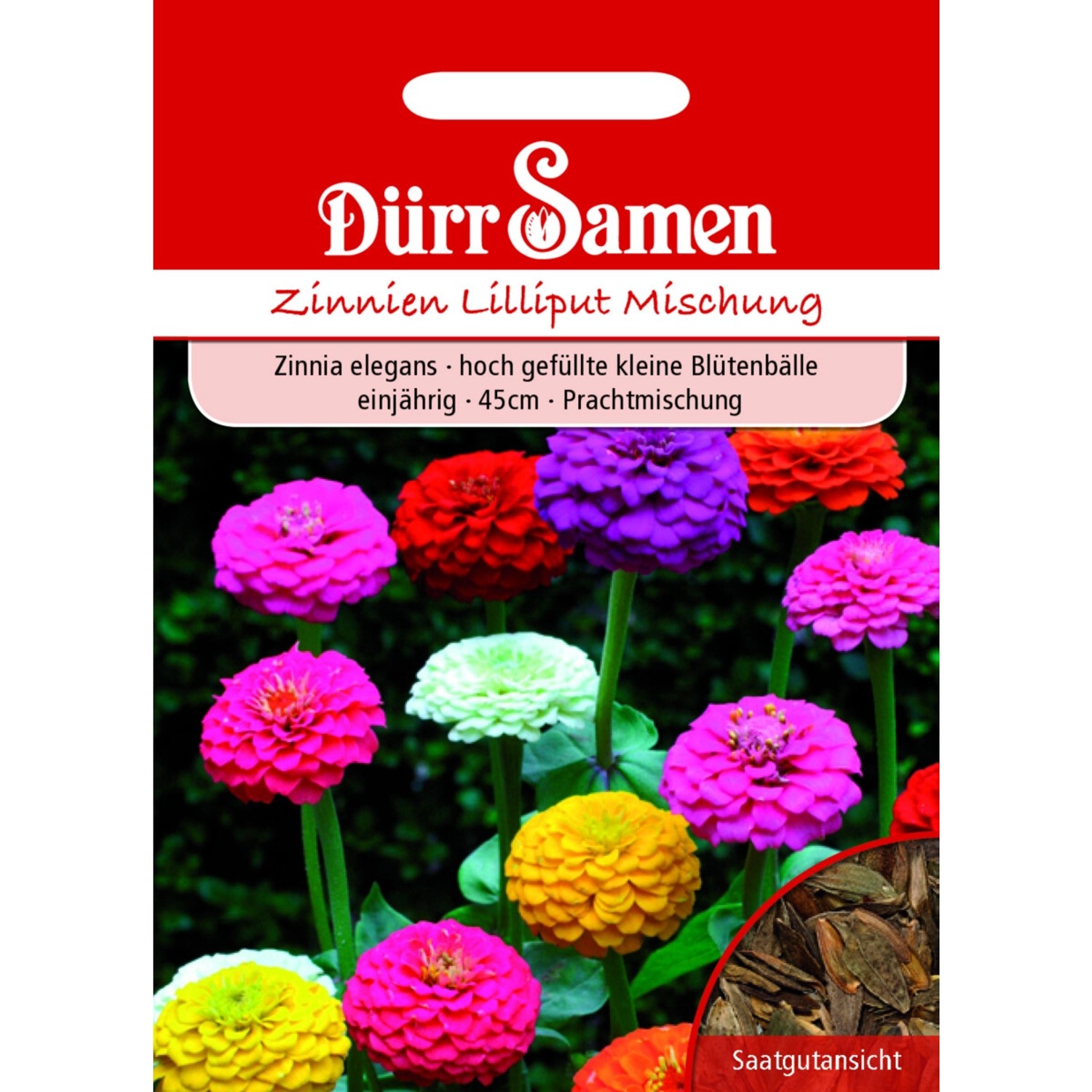 Dürr Samen Zinnien Lilliput Prachtmischung Einjährig Saatgut Dürr Samen Zinnien Lilliput Prachtmischung Einjährig Saatgut von Dürr Samen