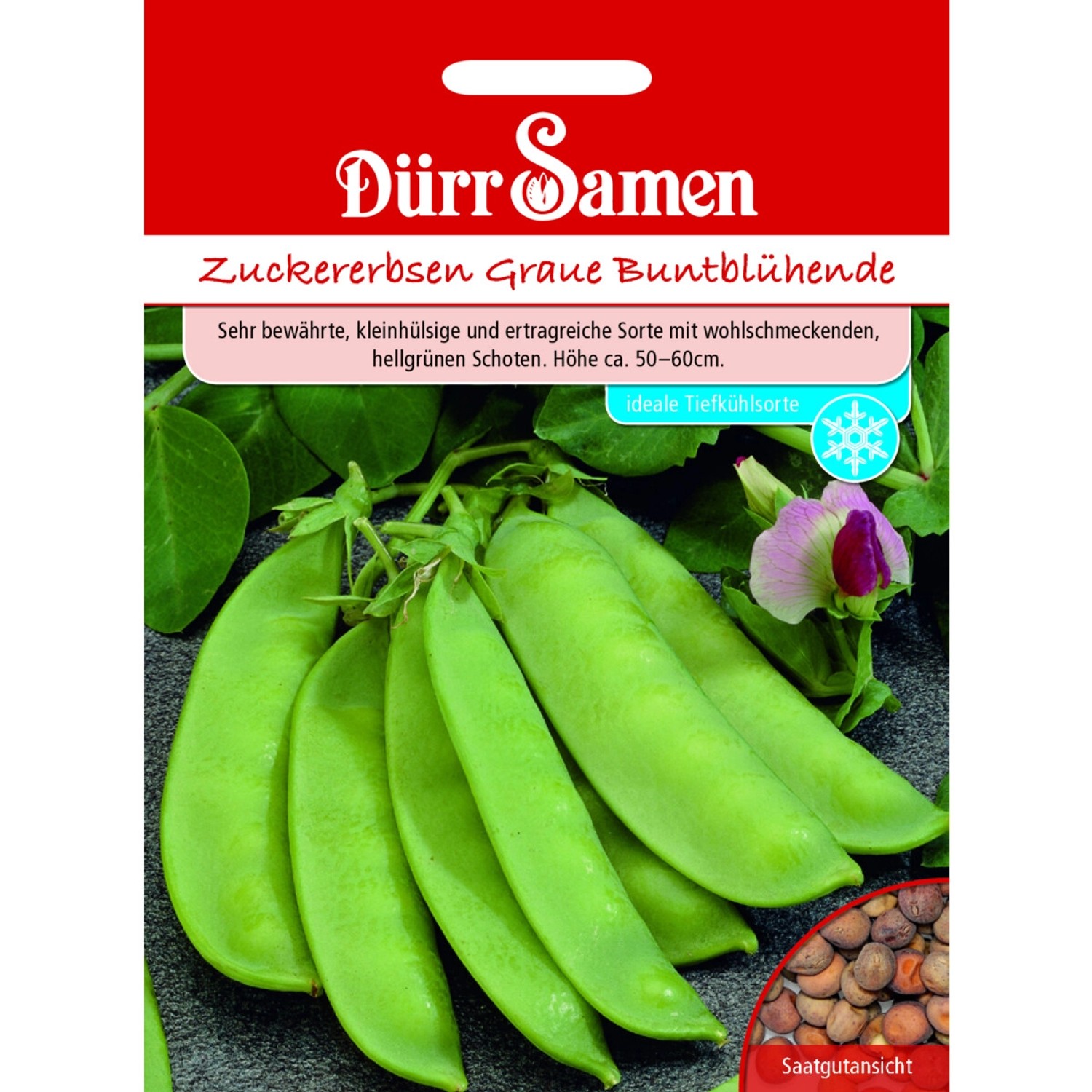Dürr Samen Zuckererbsen Graue Buntblühende Saatgut Dürr Samen Zuckererbsen Graue Buntblühende Saatgut von Dürr Samen