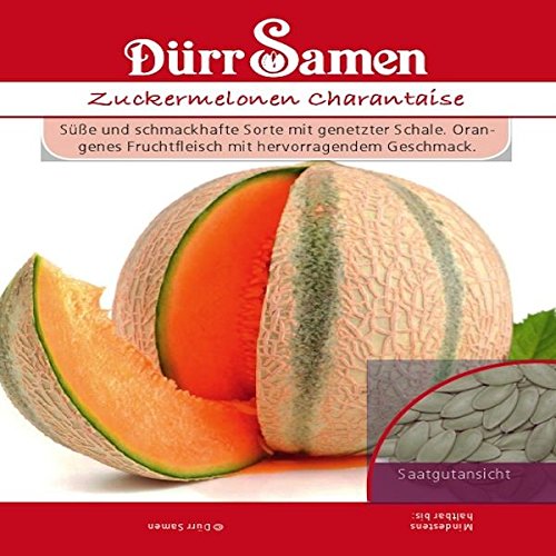 Dürr-Samen - Zuckermelone Charantaise Saatgut von Dürr-Samen