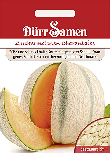 Dürr-Samen - Zuckermelone Charantaise Saatgut von Dürr-Samen