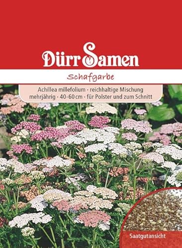 Edelgarbe Schafgarbe Mischung Achillea millefolium von Dürr-Samen