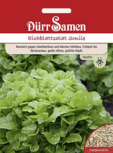 Eichblattsalat Smile grün von Dürr-Samen