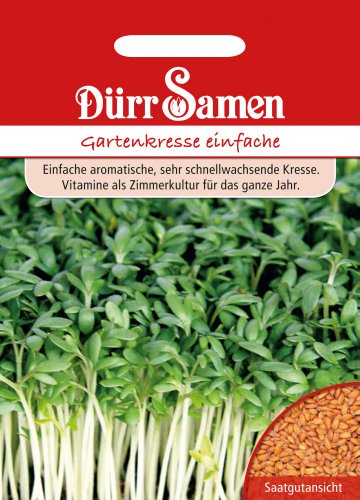 Gartenkresse Samen Einfache Kressesamen ca 5000 Korn Küchenkräuter Kräutersamen Saatgut Balkon Garten Hochbeet Kübel Dürr Samen von Dürr-Samen