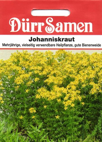 Johanniskraut von Dürr-Samen