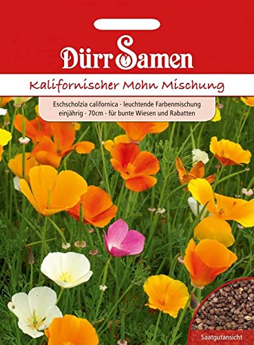 Mohn Samen Kalifornischer Mohn Mischung Mohnsamen Bienen Insekten Freundlich Mohnwiese Saatgut ca 200 Korn Garten Hochbeet Kübel Dürr Samen von Dürr-Samen