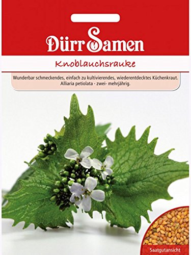 Dürr-Samen - Knoblauchrauke Saatgut von Dürr-Samen