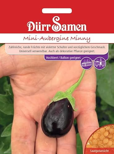 Mini Aubergine Samen ca 10 Korn Auberginesamen Gemüse Violette Früchte Balkon Hochbeet Garten Saatgut Dürr Samen von Dürr-Samen