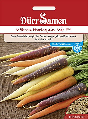 Möhren Harlequin Mix F1 von Dürr-Samen