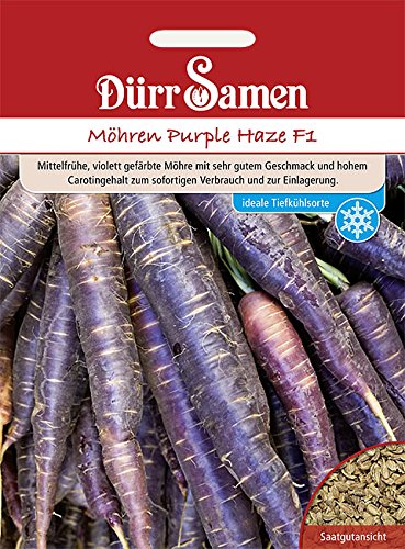 Möhren Purple Haze violette Urmöhre Samen von Dürr-Samen