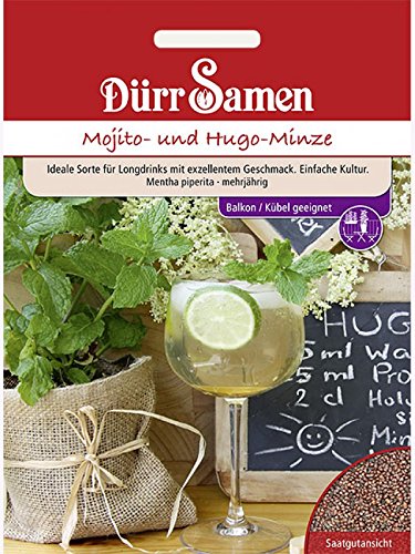 Mojito- und Hugo-Minze von Dürr-Samen