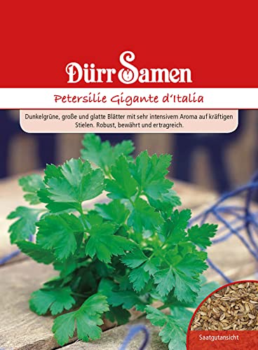 Dürr-Samen - Petersilie Gigante d"Italia Saatgut von Dürr-Samen