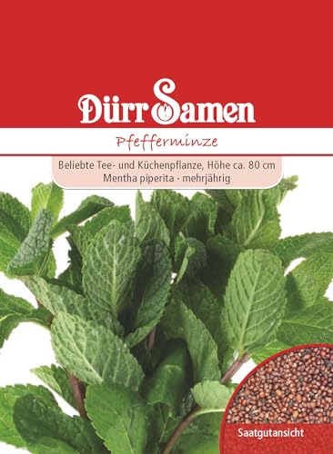 Dürr-Samen - Pfefferminze Saatgut von Dürr-Samen