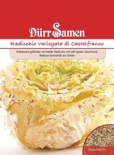 Radicchio Samen Variegata di castelfranco Chicoree Zichoriensalat Rot Weißer Radicchiosamen Salat ca 150 Korn Saatgut Balkon Garten Hochbeet Kübel Dürr Samen Radicchio Samen Variegata di castelfranco Chicoree Zichoriensalat Rot Weißer Radicchiosamen Salat ca 150 Korn Saatgut Balkon Garten Hochbeet Kübel Dürr Samen von Dürr-Samen