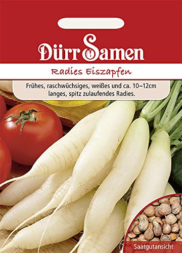 Radies Eiszapfen von Dürr-Samen