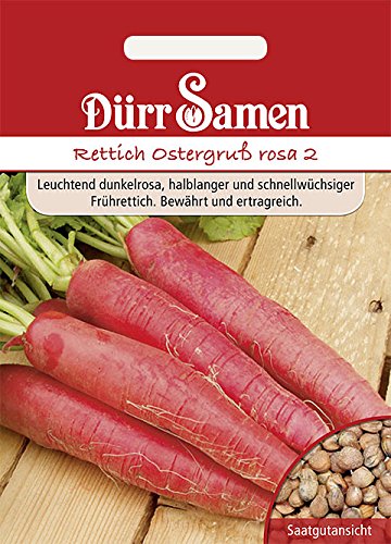 Rettich Ostergruß rosa 2 von Dürr-Samen