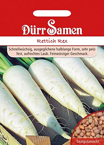 Rettich Rex Rettichsamen ca.200 Samen von Dürr-Samen