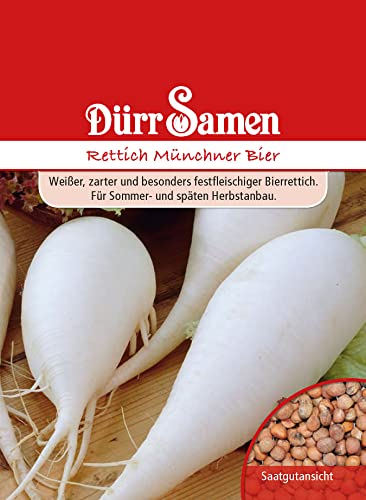 Rettich Samen Münchner Bier Weißer Rettichsamen Saatgut ca 500 Korn Garten Hochbeet Kübel Gemüse Dürr Samen von Dürr-Samen