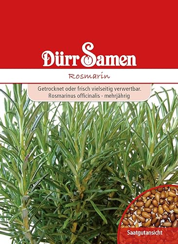 Rosmarin Samen Rosmarinsamen ca 80 Korn Küchenkräuter Kräutersamen Saatgut Balkon Garten Hochbeet Kübel Dürr Samen von Dürr-Samen