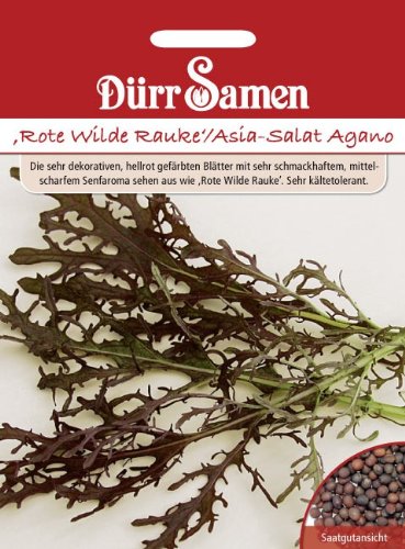 ,Rote Wilde Rauke'/Asia-Salat Agano von Dürr-Samen