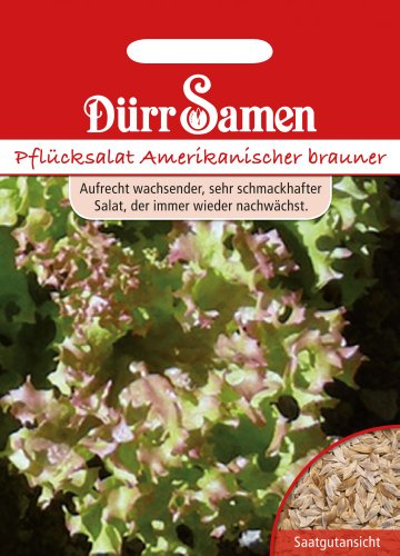 Dürr Samen 0028 Schnittsalat Amerikanischer Brauner (Schnittsalatsamen) von Dürr-Samen