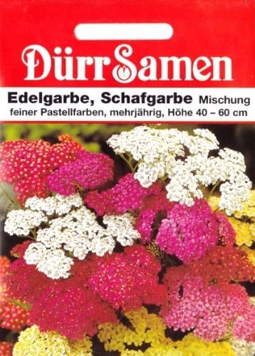 Schafgarbe Samen Edelgarbe Schafgarbensamen Achillea millefolium, ca. 150 SamenSchnittblume ca 150 Korn Bienen Insekten Freundlich Saatgut Garten Hochbeet Kübel Dürr Samen von Dürr-Samen