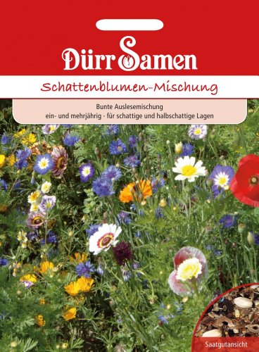 Schattenblumen-Mischung von Dürr-Samen