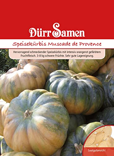 Dürr-Samen - Speisekürbis Muscade de Provence Saatgut von Dürr-Samen